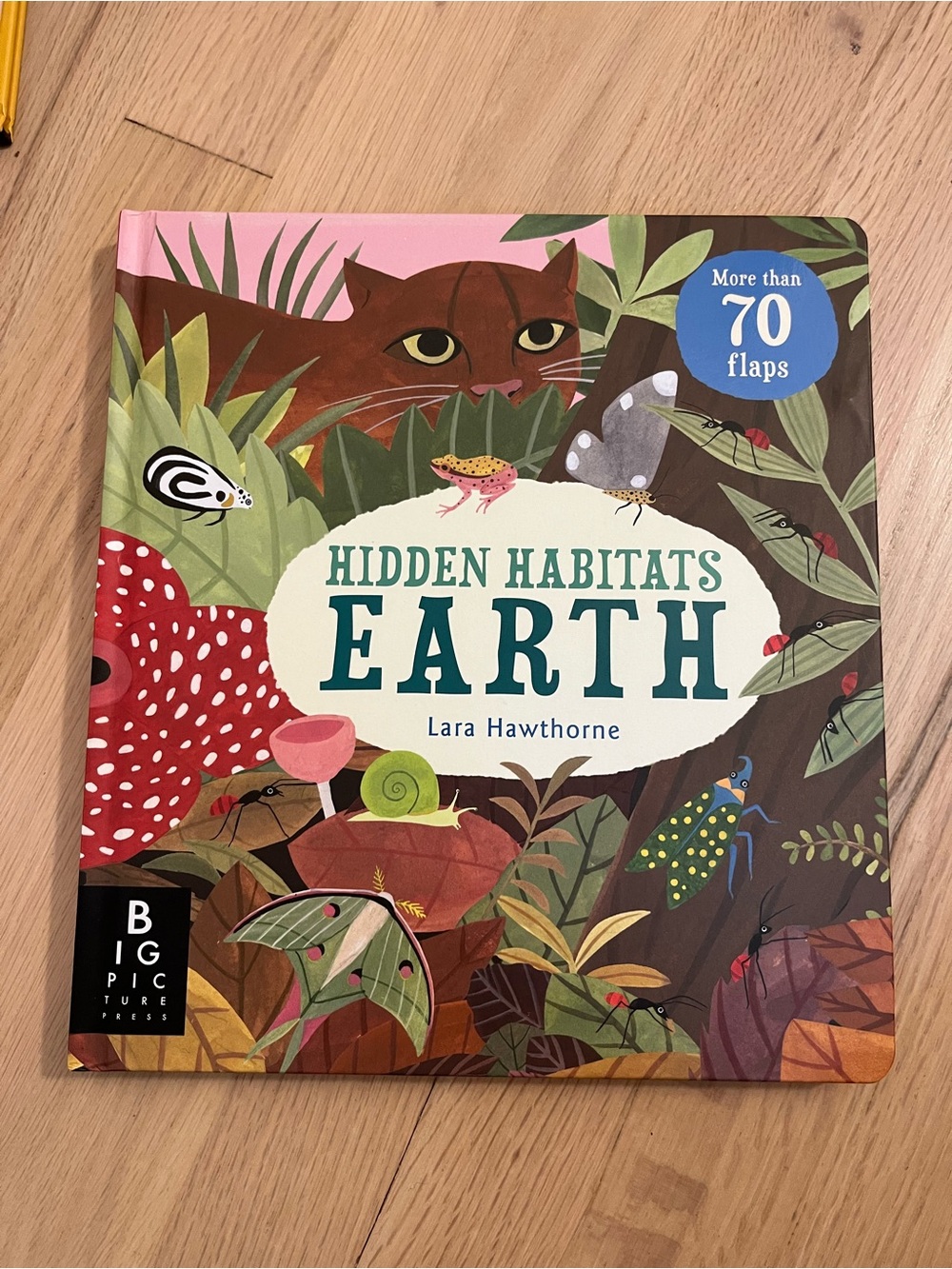 Hidden Habitats Earth by Lara Hawthorne - Hardcover